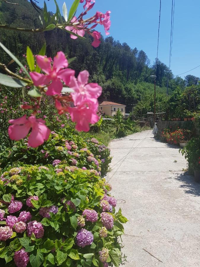Villa Casa Nonna Anna Maiori Exterior foto