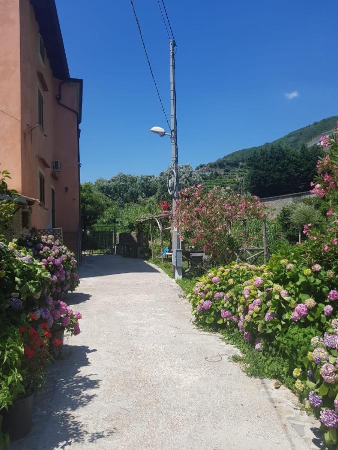 Villa Casa Nonna Anna Maiori Exterior foto